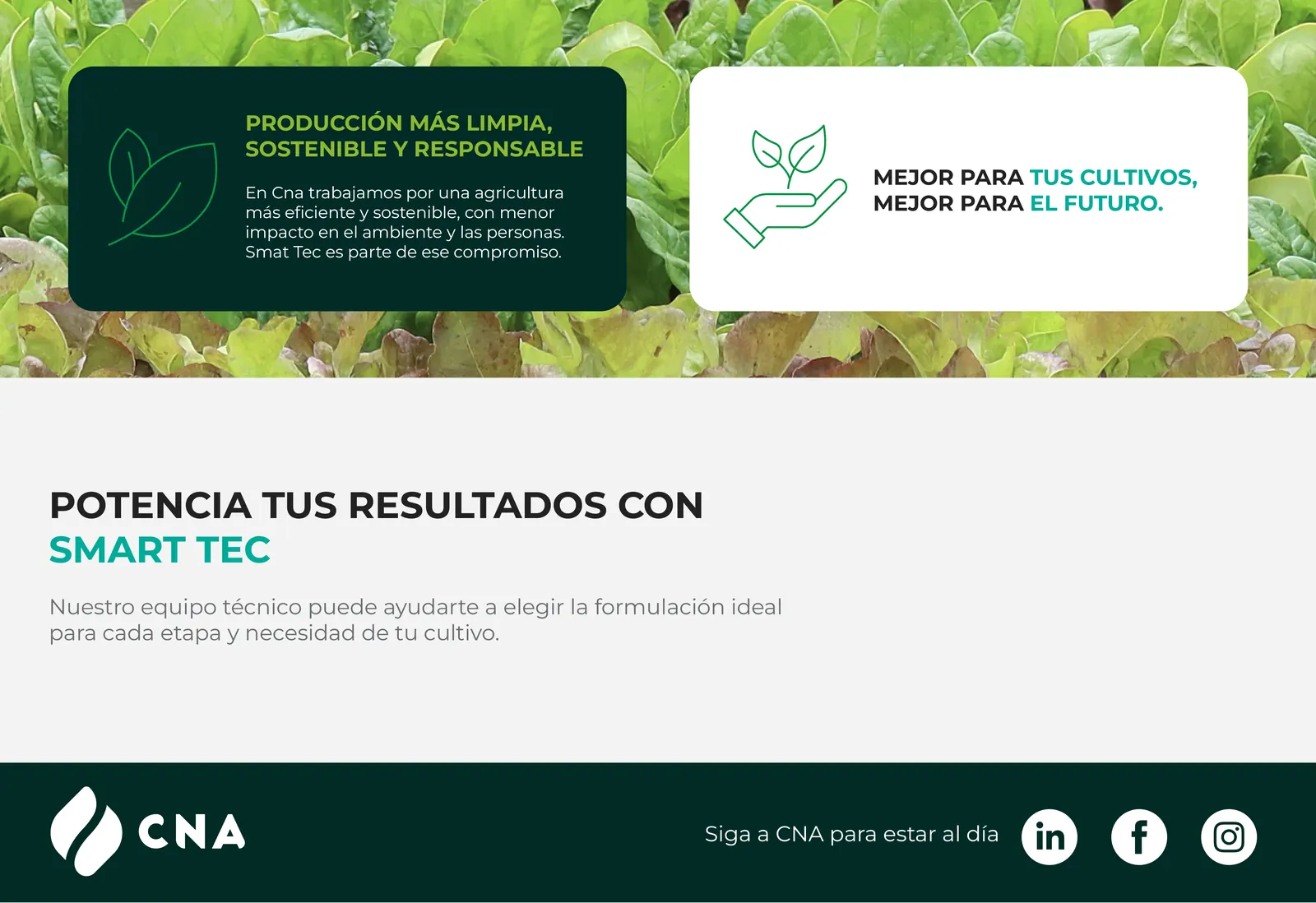 Producción más limpia, sostenible y responsable. Potencia tus resultados con Smart Tec