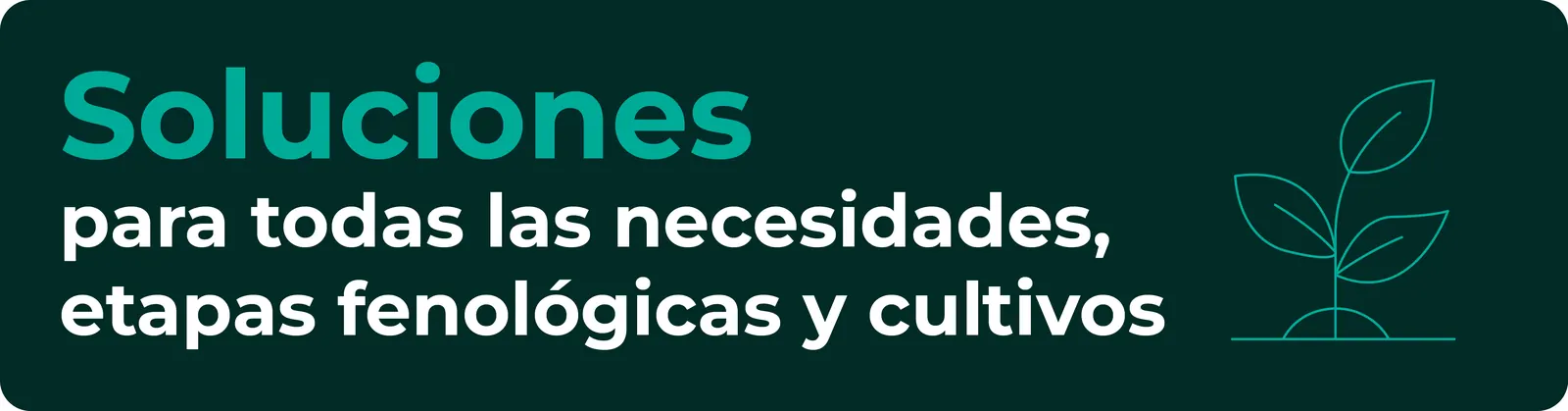 Soluciones para todas las necesidades, etapas fenológicas y cultivos